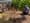 Photo of two people in gardening clothes kneeling in a garden and smiling at each other.